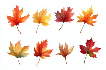 Fototapeta premium Beautifully Crafted Autumn Leaves Collection Display
