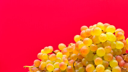 Kishmish (sultana) grapes on a red background