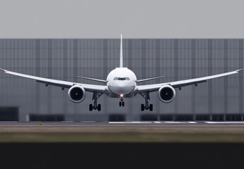 Obraz premium Airplane Landing.