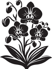 Orchid flower silhouette 