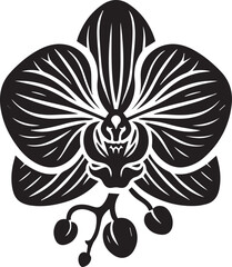 Orchid flower silhouette 