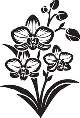 Orchid flower silhouette 