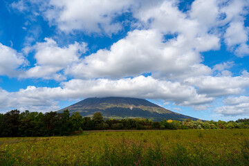 北海道の道路の風景　羊蹄山方面