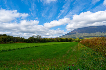 北海道の道路の風景　羊蹄山方面