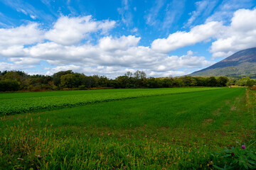 北海道の道路の風景　羊蹄山方面