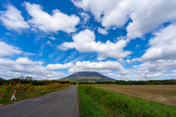 北海道の道路の風景　羊蹄山方面