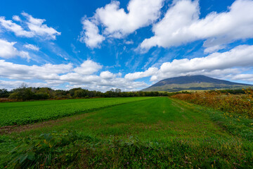 Fototapeta premium 北海道の道路の風景 羊蹄山方面