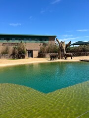 Houston Zoo