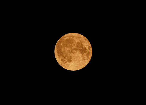 full blody moon in the night
