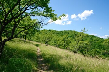 Obraz premium A serene hiking trail meanders through lush green hills under a bright blue sky