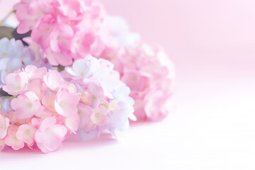 Obraz premium A gentle arrangement of pastel blossoms creates an enchanting atmosphere, showcasing various shades that evoke feelings of serenity and elegance in any setting