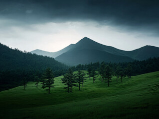Fototapeta premium Lush green valley with trees under a dramatic sky in the mountains during early evening light