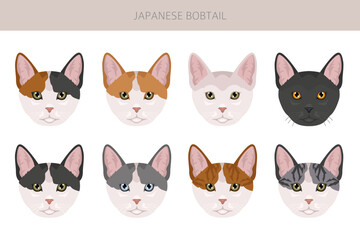 Japanese bobtail cat clipart. All cat breeds characteristics infographic. Vector illustration