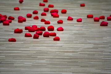 運動会　玉入れ