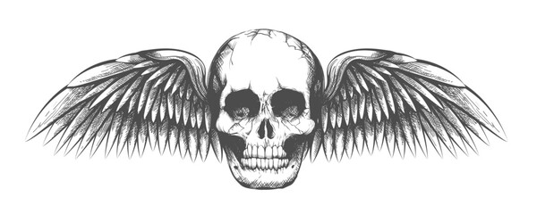 Hand Drawn Tattoo of Human Skull with Wings isolated on White Background