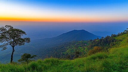 A panoramic view of a mountain range at sunset with a lone tree in the foreground.