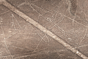 Giant whale geoglyph in the Nazca desert. The Nazca Lines. Peru. South America
