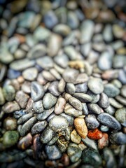 Split  stone  has colour  in river