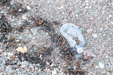 plastic pollution