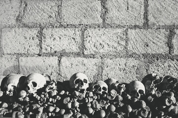Wallpaper with bones, skulls beneath a wall