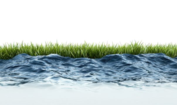 Vibrant patch of green grass grows on a rocky, blue shore isolate on transparent background, cutout, png
