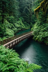 Fototapeta premium Serene river with a wooden bridge surrounded by lush green trees.