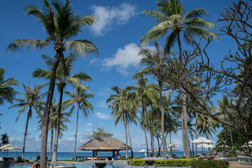 Beach at ocean in Tropicana under clear sky