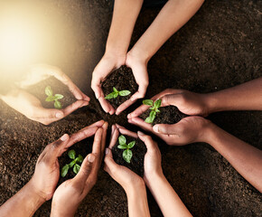 Palm, people and holding soil for plants growth of environment, earth day support and teamwork of...