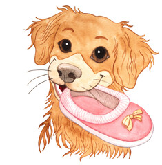 Watercolor cute realistic dogs face for stickers on white backdrop. Dog Illustration for your design, advertising, social media