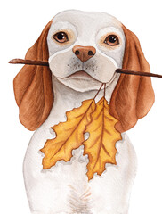 Watercolor cute realistic dogs face with autumn leaves for stickers on white backdrop. Dog Illustration for your design, advertising, social media