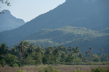A landscape view of nature of green mountain at sunrise morning
