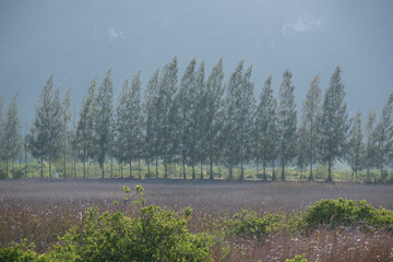 A landscape view of nature of green mountain at sunrise morning