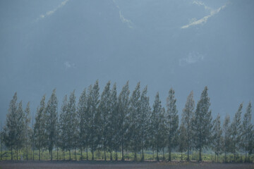 A landscape view of nature of green mountain at sunrise morning