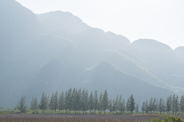 A landscape view of nature of green mountain at sunrise morning