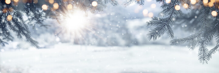 Fir branches on snowy day with bright sun rays and golden bokeh lights. Horizontal winter background for christmas greetings and banner with space for text.