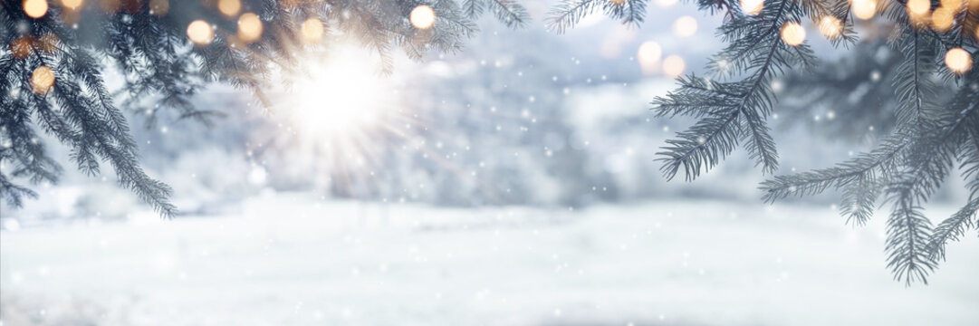 Fir branches on snowy day with bright sun rays and golden bokeh lights. Horizontal winter background for christmas greetings and banner with space for text.
