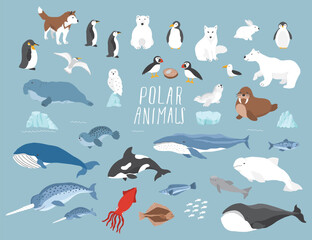 Polar animals collection, cute birds, fish and marine mammals. Arctic wild animals set. Vector illustration