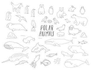 Obraz premium Polar animals collection, cute birds, fish and marine mammals. Arctic wild animals set. Vector illustration