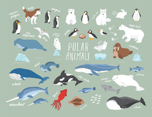 Polar animals collection, cute birds, fish and marine mammals. Arctic wild animals set. Vector illustration