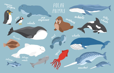 Fototapeta premium Polar animals collection, cute birds, fish and marine mammals. Arctic wild animals set. Vector illustration