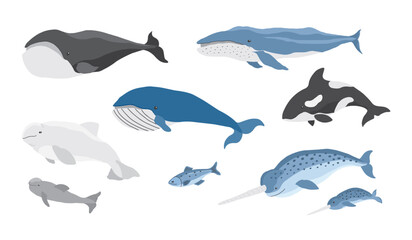 Polar animals collection, cute birds, fish and marine mammals. Arctic wild animals set. Vector illustration