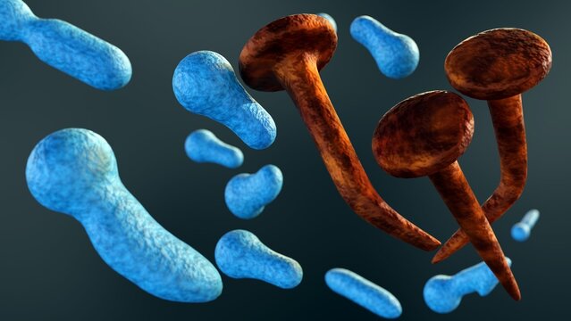 3d rendering of Clostridium tetani is a bacterium that produces a potent neurotoxin called tetanospasmin. This toxin can cause tetanus, rusty nails can be a source of tetanus spores.
