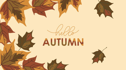 hello autumn background with hand drawn maple leaves and lettering, colorful vector illustration, template for banner, greeting cards, invitation, poster, autumn, leaf