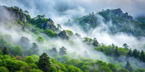 Misty forest in Demerdzhi mountain range Valley of ghosts
