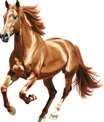 Obraz premium Brown horse running
