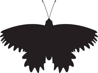 Butterfly silhouette isolated icon vector image
