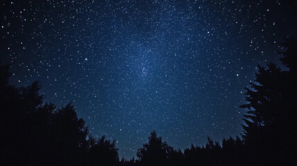 Cosmic Night Sky with Stars Outdoors, night in the Forest