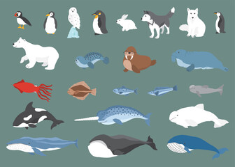 Polar animals collection, cute birds, fish and marine mammals. Arctic wild animals set. Vector illustration