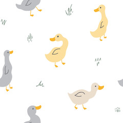 Ducks_patterns_2024_v1.eps