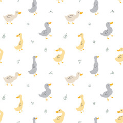 Ducks_patterns_2024_v1a.eps